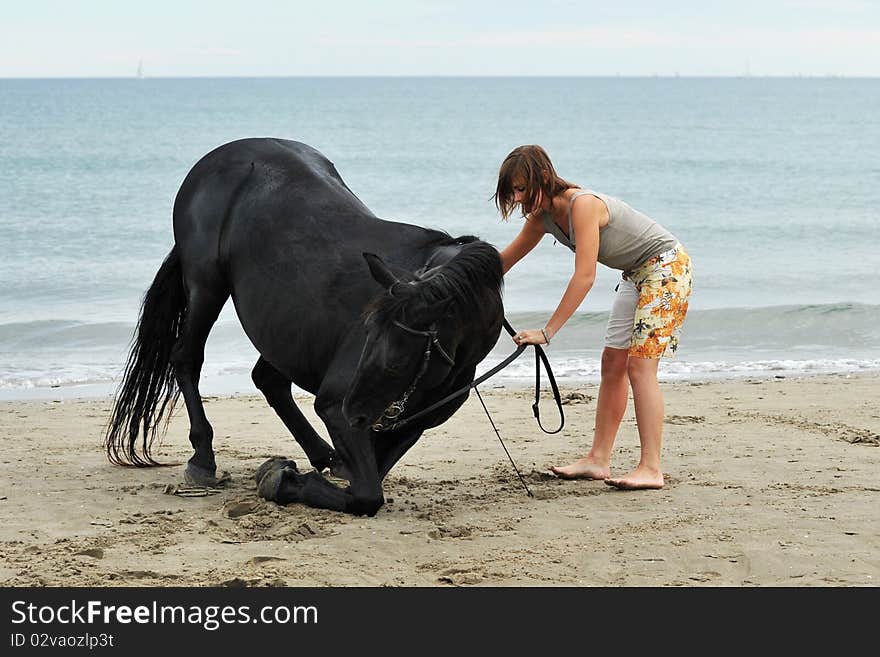 Girl And  Horse On The Beach