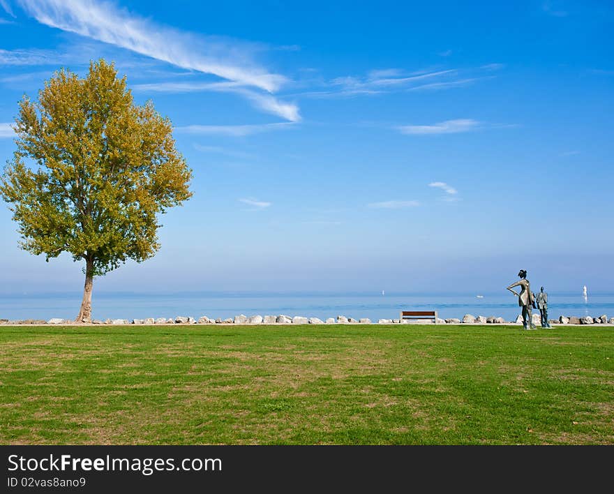 Autumnal coloured tree in front of 	 Lake Constance