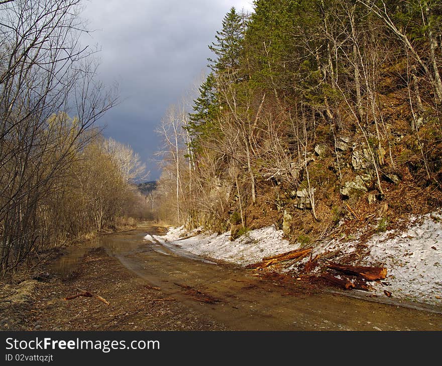 Spring landscape with last snow on wood road