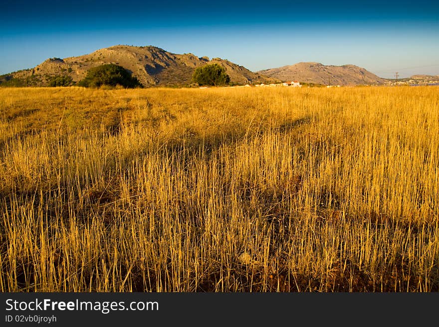 Field And Mountain Views