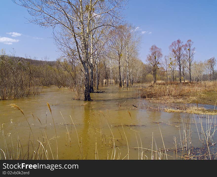 Spring landscape with naked wood and the spread river. Spring landscape with naked wood and the spread river