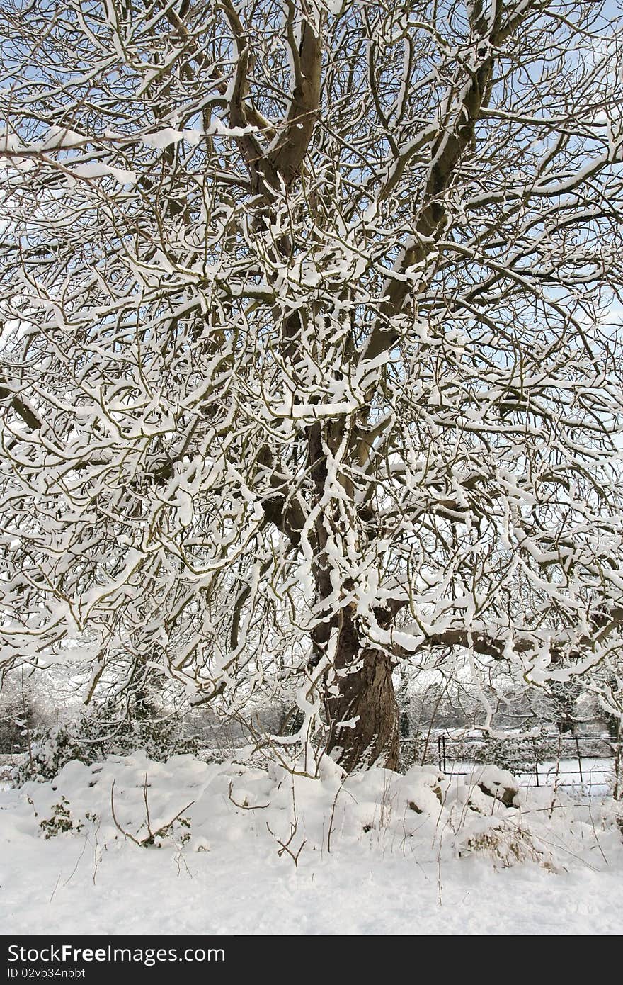 Winter landscape covered in snow