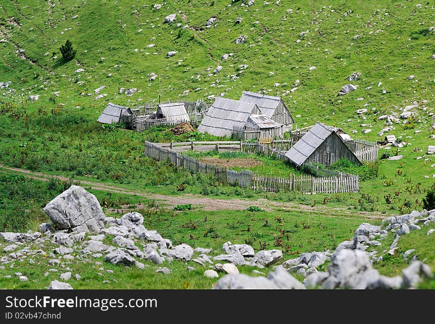 Pictured in high Montenegrian mountains. Pictured in high Montenegrian mountains