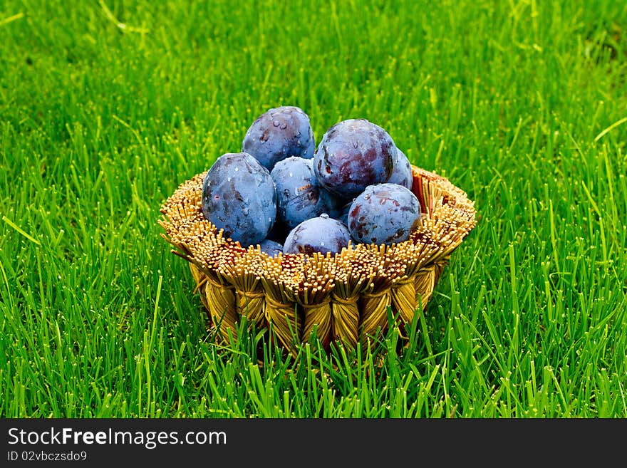 Plums in a wicker basket