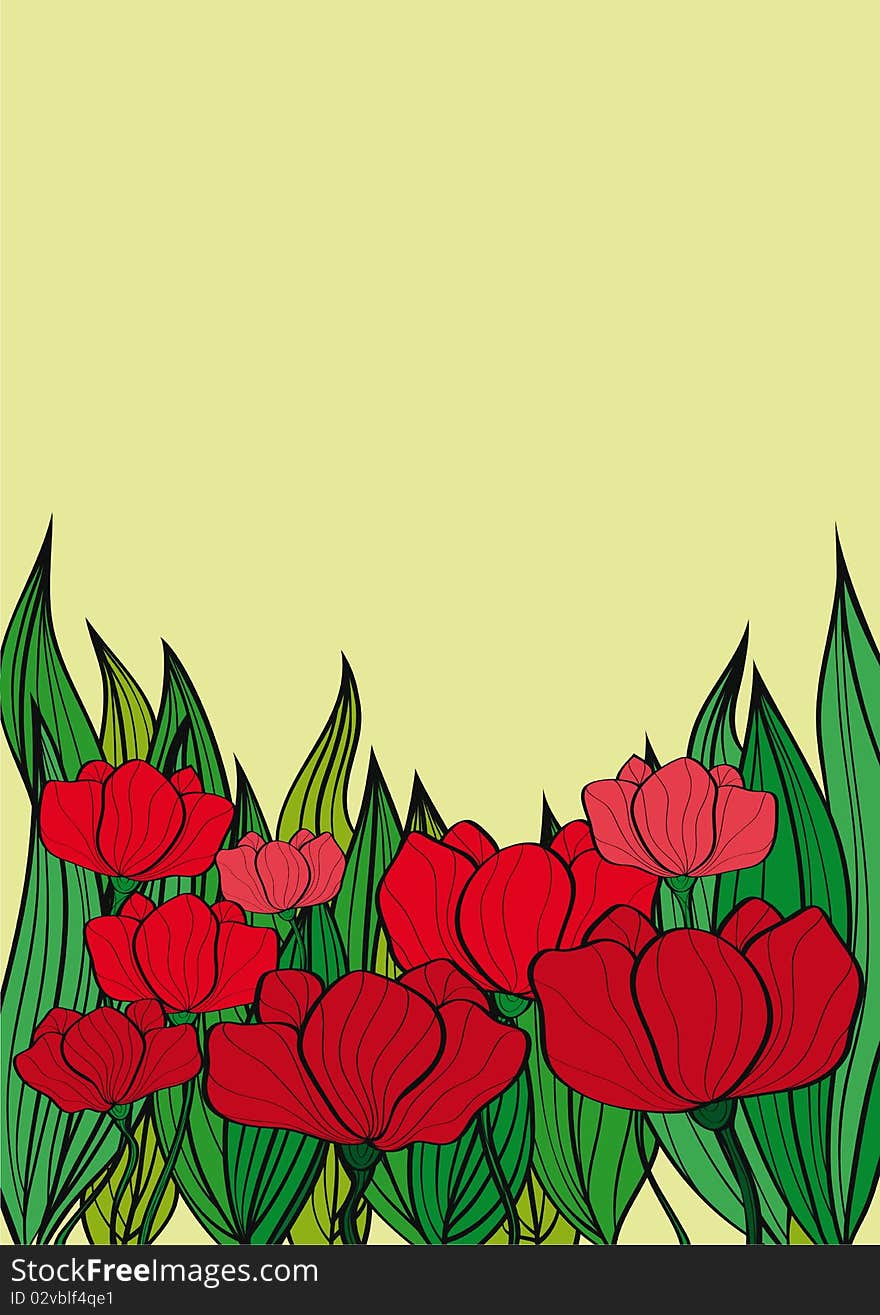 Poppies background