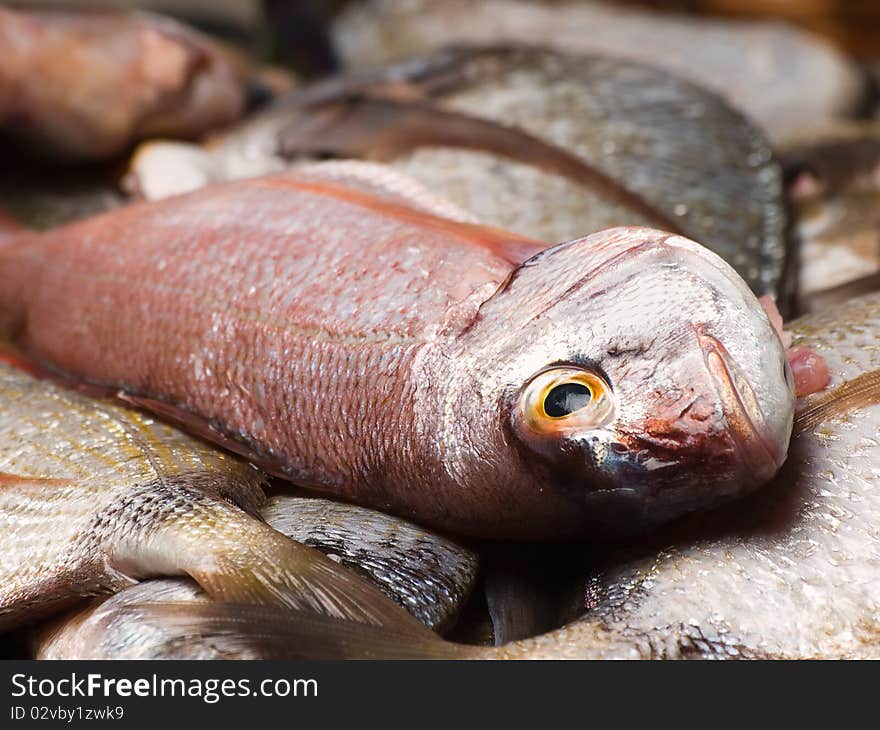 Heap of fresh sea fishes,closeup,for seafood,fishing or healthy eating themes. Heap of fresh sea fishes,closeup,for seafood,fishing or healthy eating themes