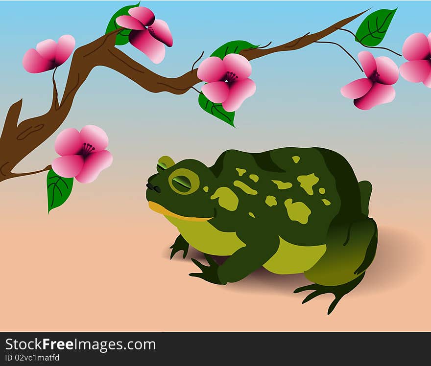 Green toad sits under the sakura branch. Green toad sits under the sakura branch