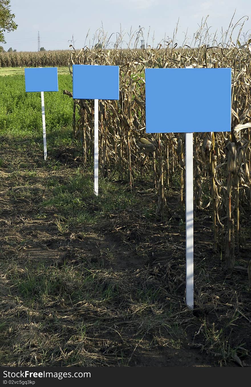 Empty billboards on a cornfield. Empty billboards on a cornfield.