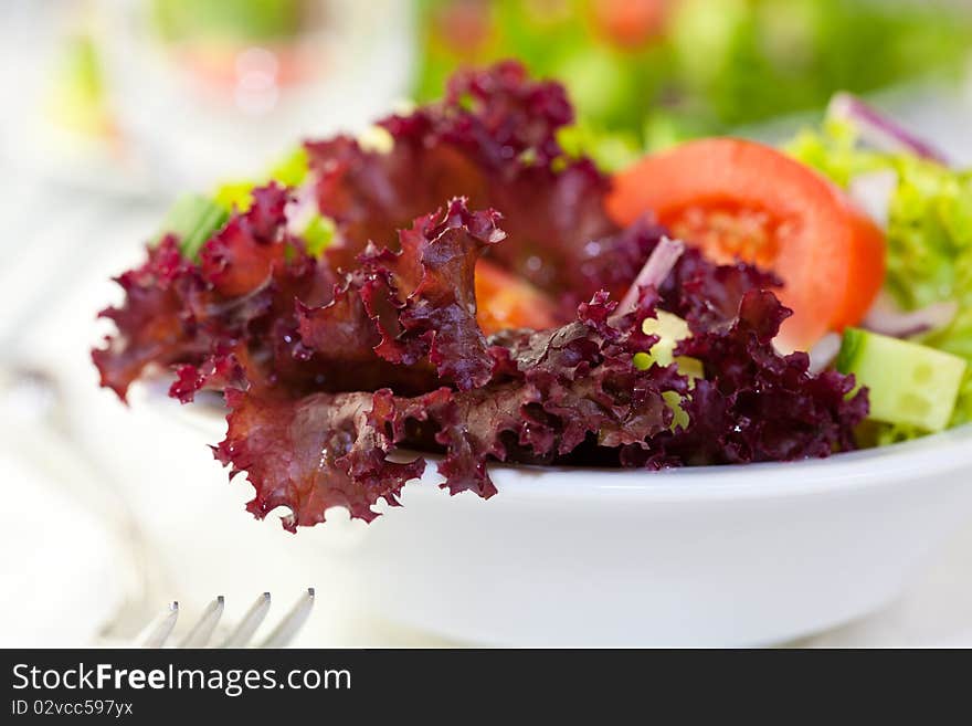 Fresh vegetable salad