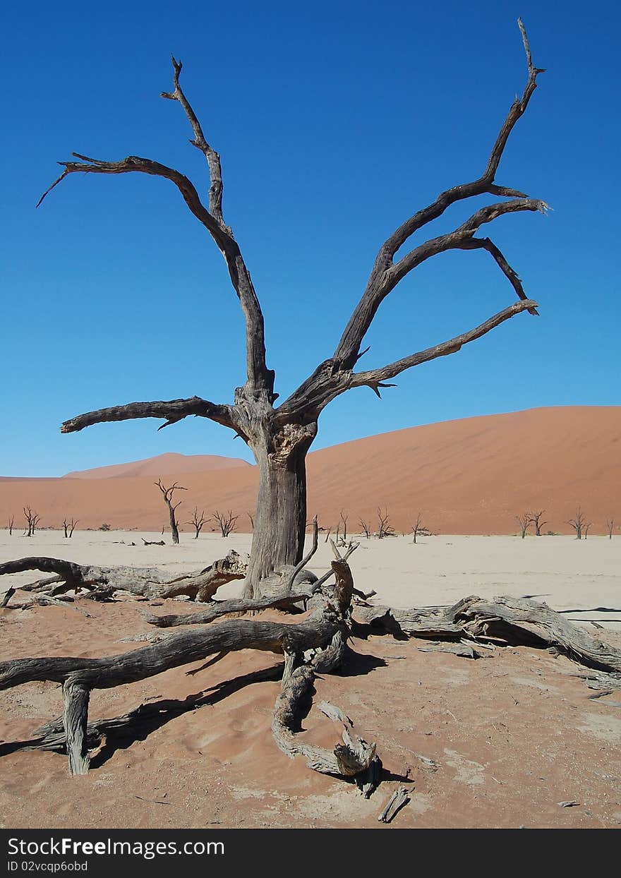 Sossusvlei Desert