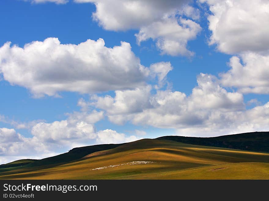 This is a upland meadow in china