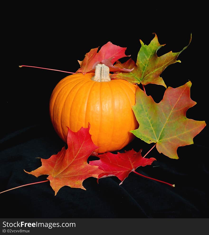 Pumpkin and leaves on black