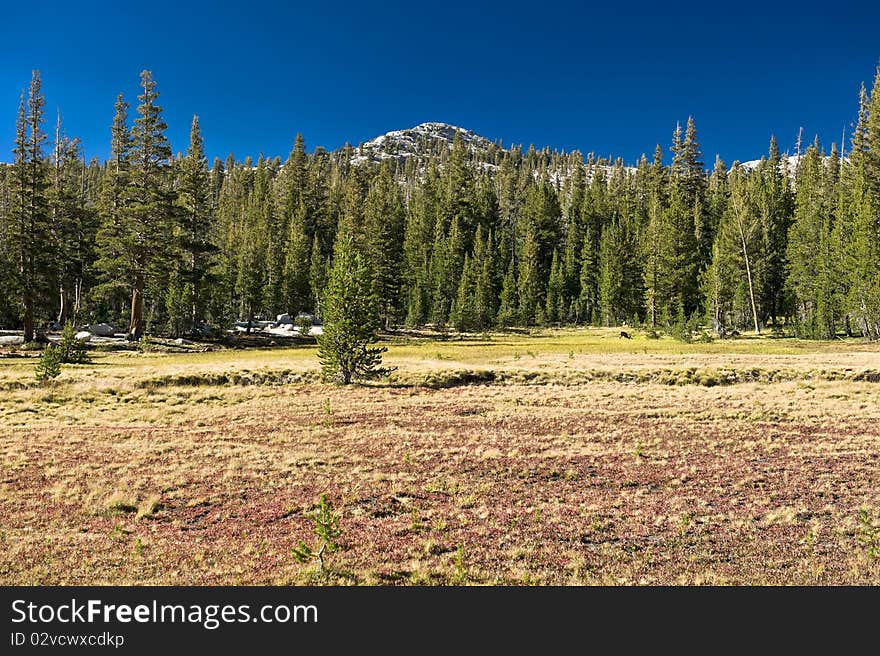 The vast beauty of the Yosemite mountains in the Yosemite National Park in California. The vast beauty of the Yosemite mountains in the Yosemite National Park in California