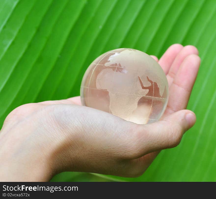 Glass globe in hand, green leaf background