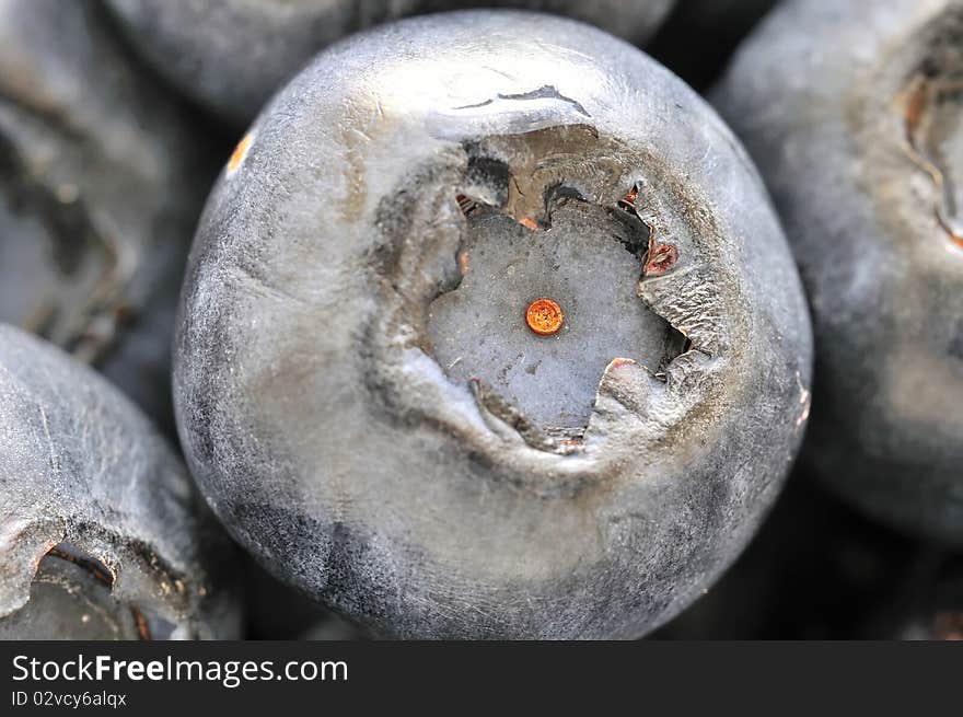 Closeup shot of blueberry