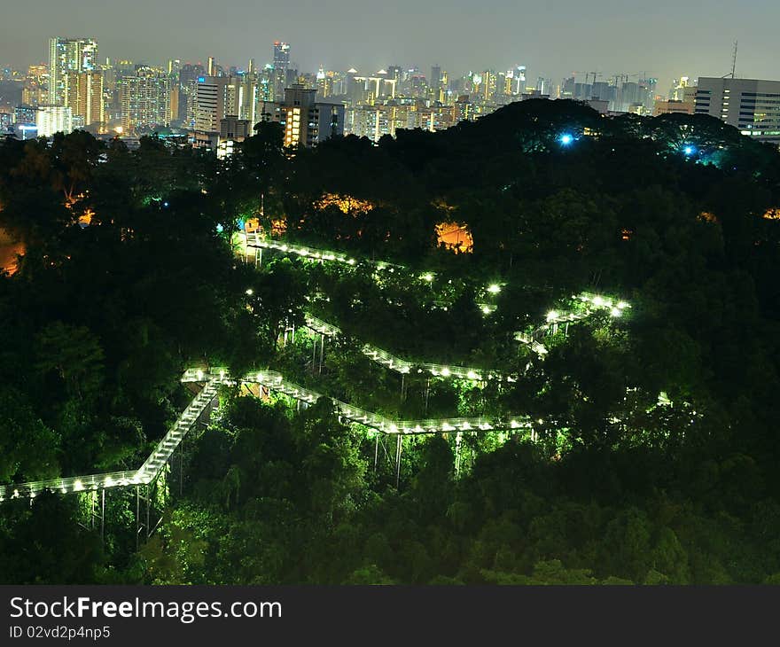 Forest walkway with cityscape at background