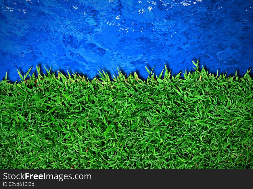 Green grass