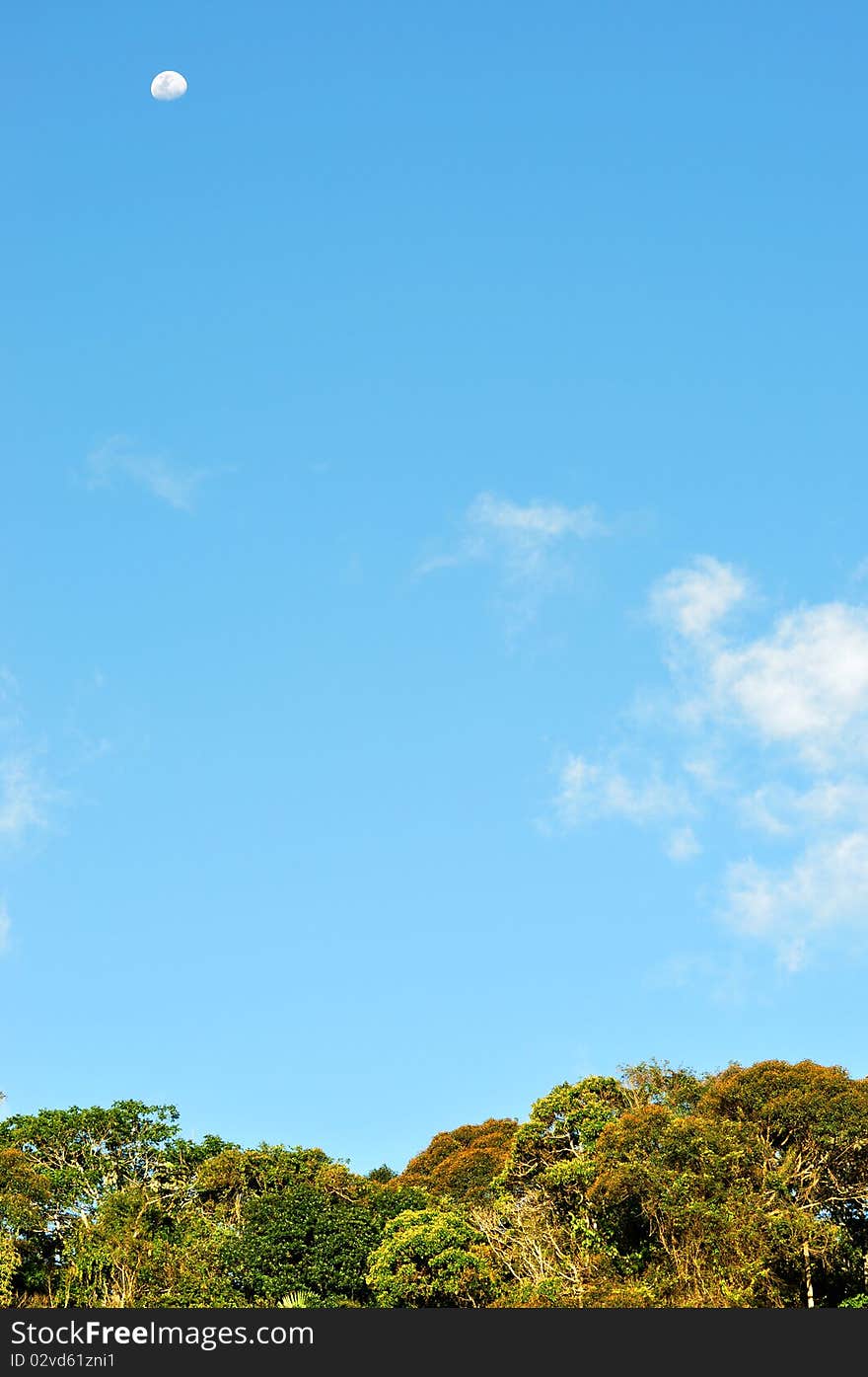 Blue Sky With Moon