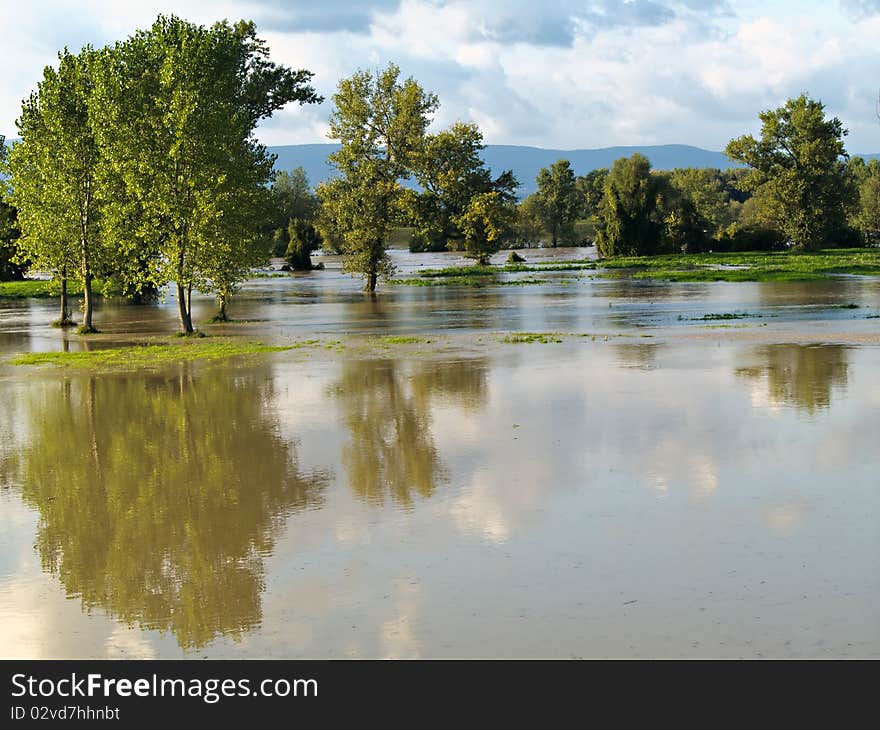 Flooded trees reflecting in water. Flooded trees reflecting in water