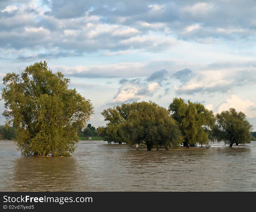 Flooded trees reflecting in water. Flooded trees reflecting in water