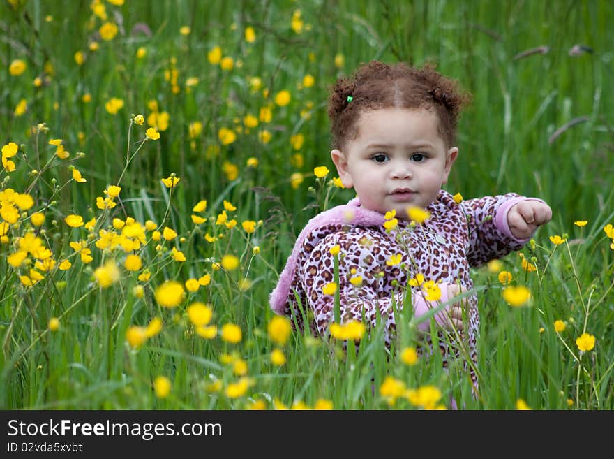 Beautiful young girl in a field of yellow flowers. Beautiful young girl in a field of yellow flowers