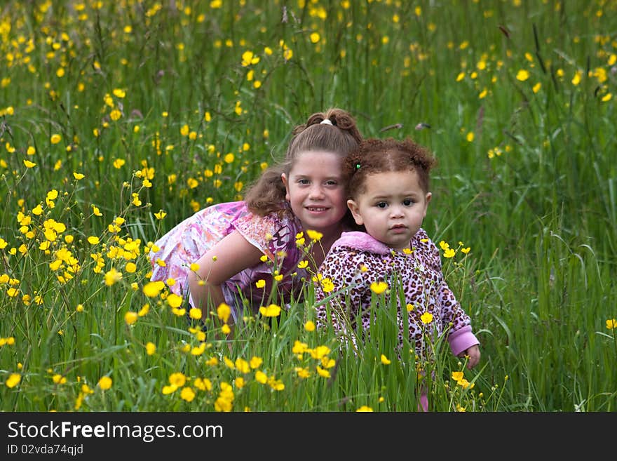 Beautiful young girl in a field of yellow flowers. Beautiful young girl in a field of yellow flowers