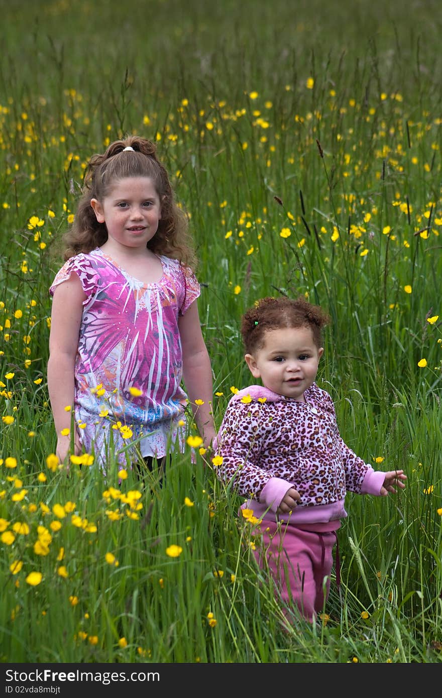 Beautiful young girl in a field of yellow flowers. Beautiful young girl in a field of yellow flowers