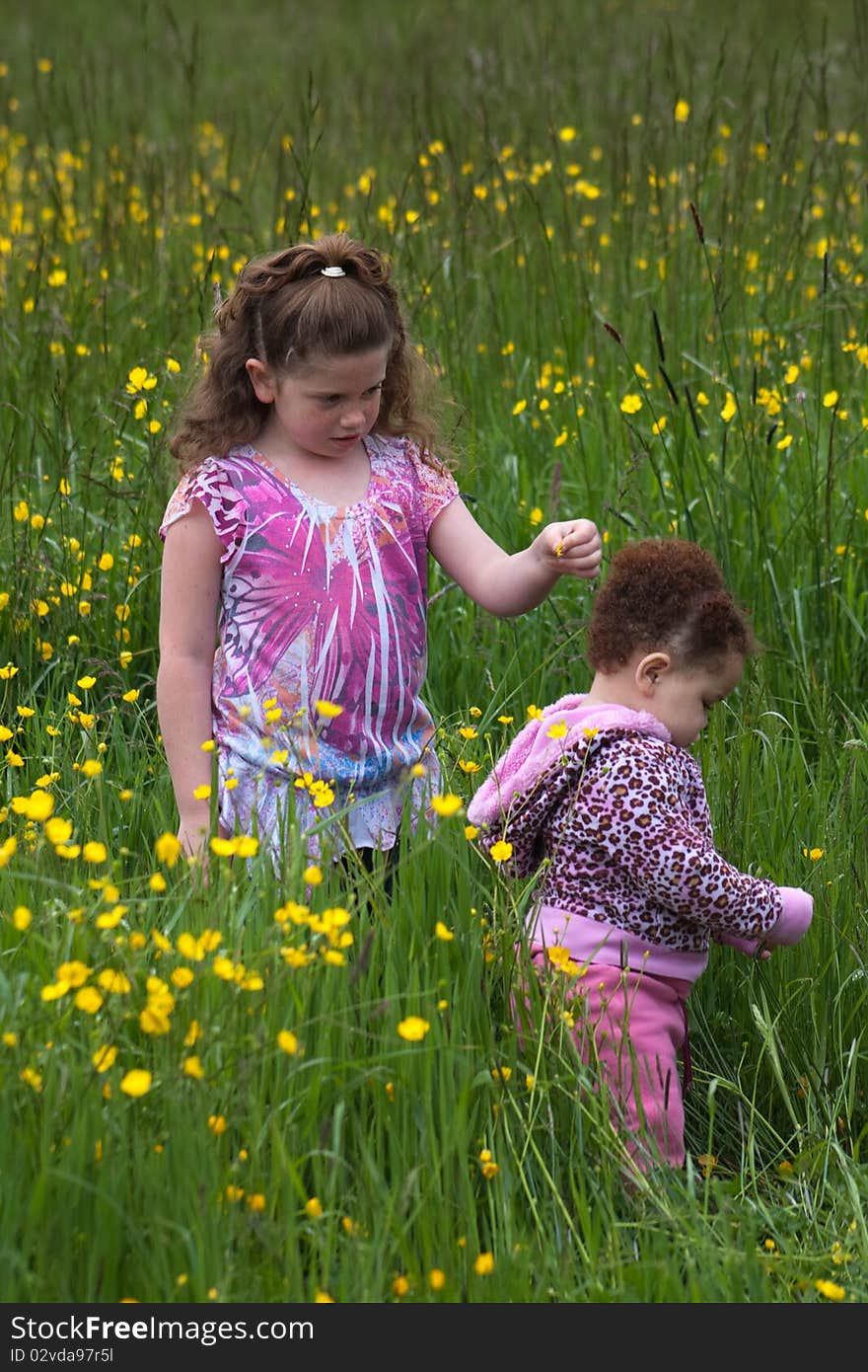 Beautiful young girl in a field of yellow flowers. Beautiful young girl in a field of yellow flowers