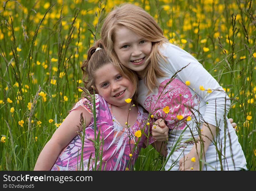 Flower Field