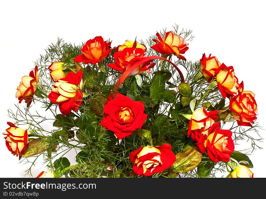 Bouquet of roses isolated on white