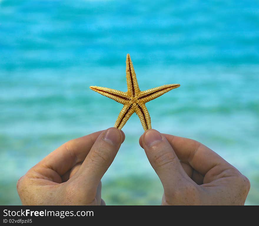 Starfish In Hand On Sea Background