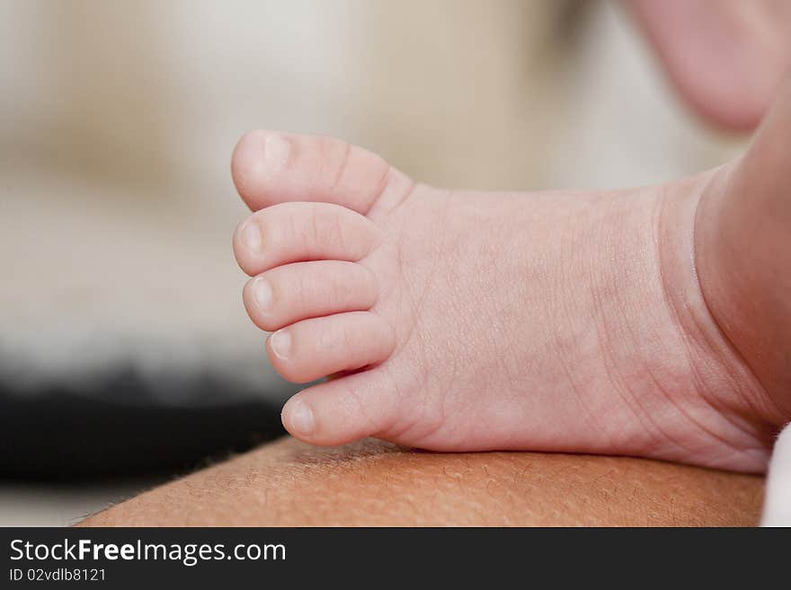 Close up view of a newborn baby feet.