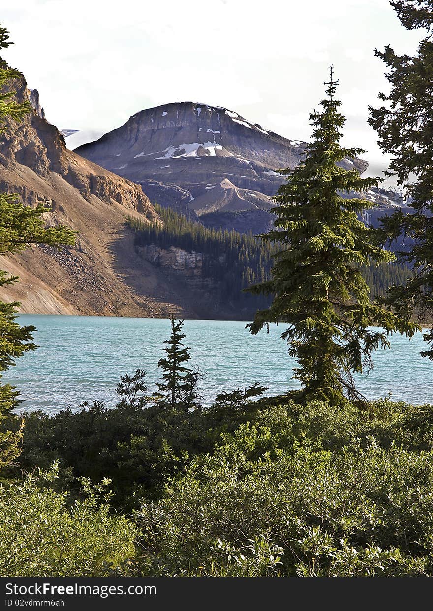 Saskatchewan River Banff National Park Canada