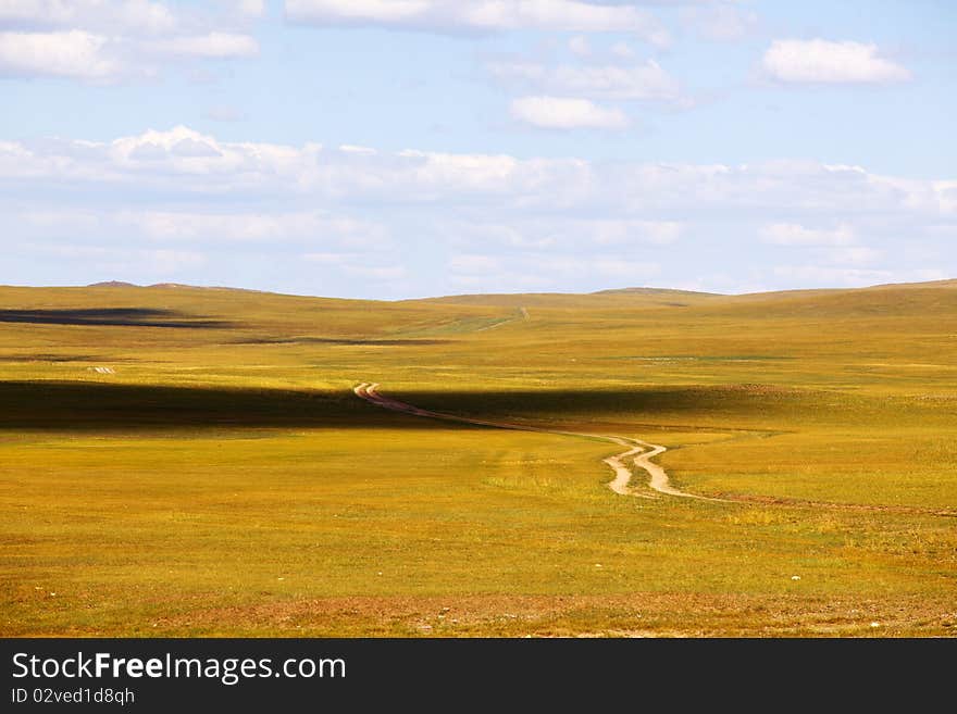 The meadow is very beautiful