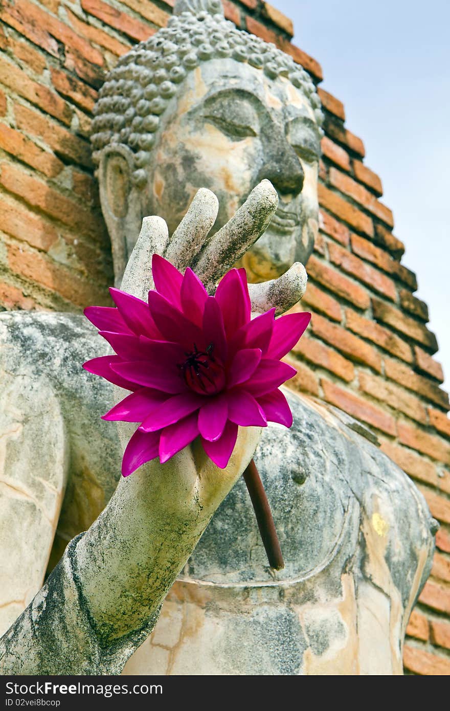 Pink lotus in Buddha hand , old city is Sukothai , Thailand ,. Pink lotus in Buddha hand , old city is Sukothai , Thailand ,