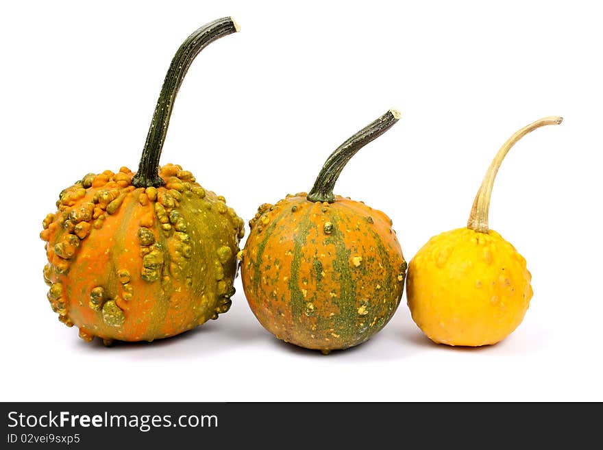 Three Different Pumpkins