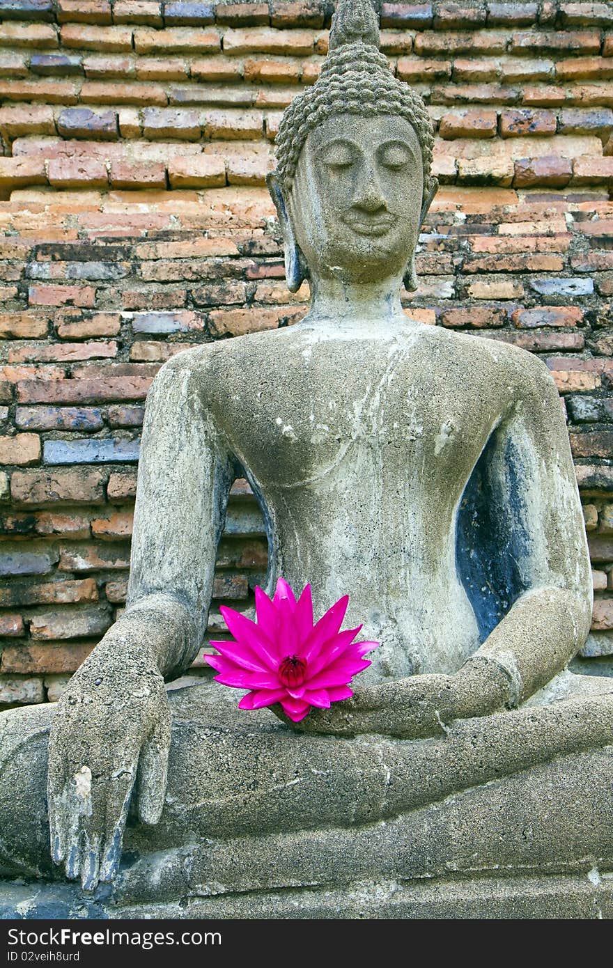 Pink lotus on Buddha old , at city old Sukothai temple , Thailand ,