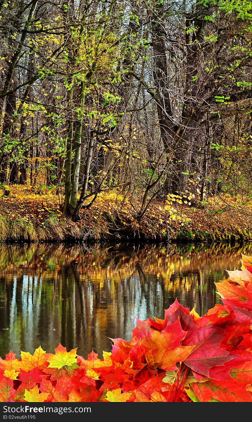 Autumny river