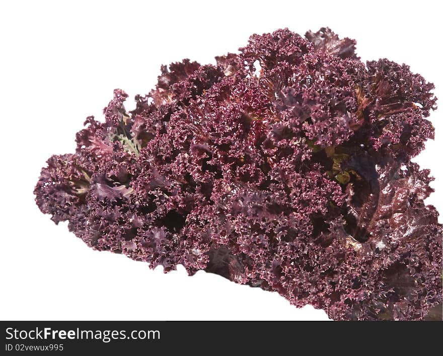 Purple Lettuce Salad