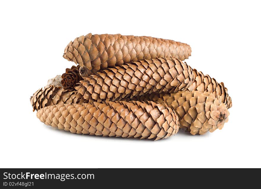 Dry pine cones isolated on white background