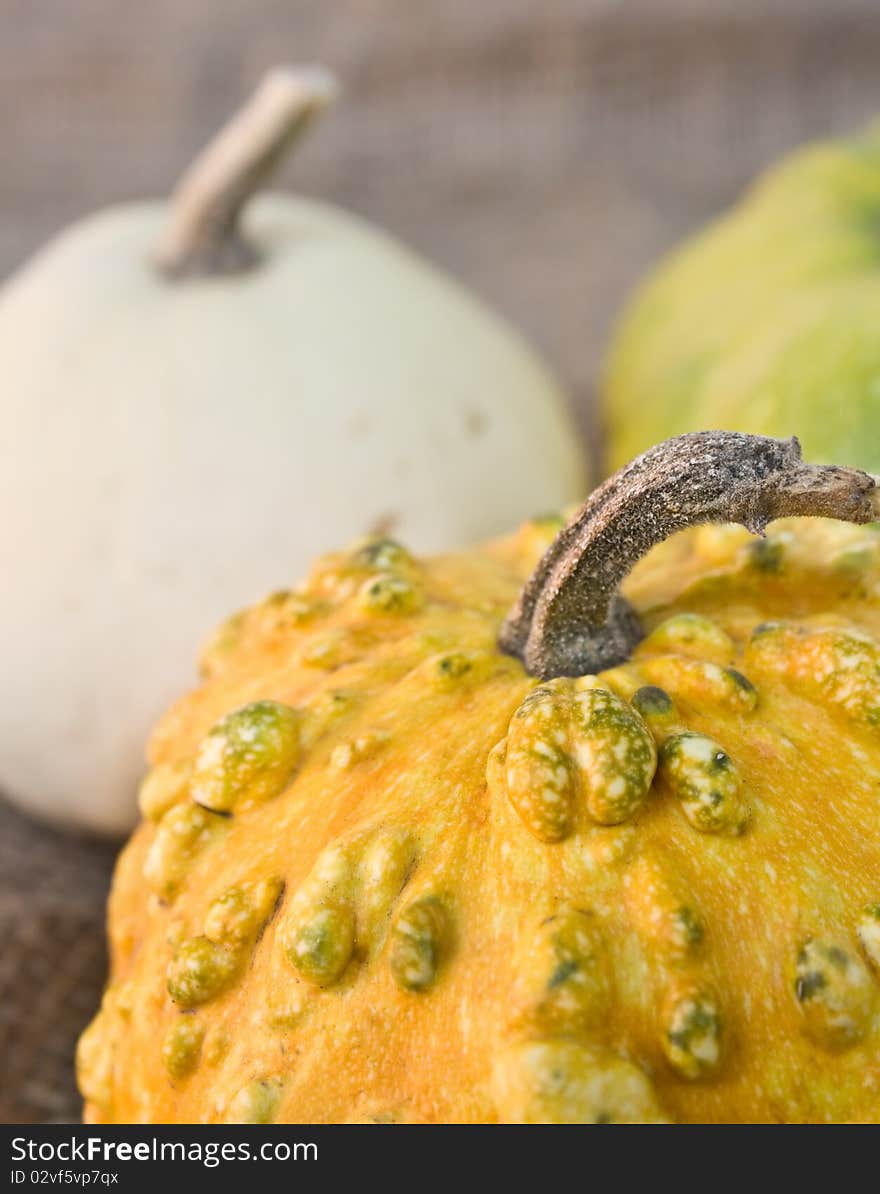 Decorative multicolor pumpkins on sacking ( macro )