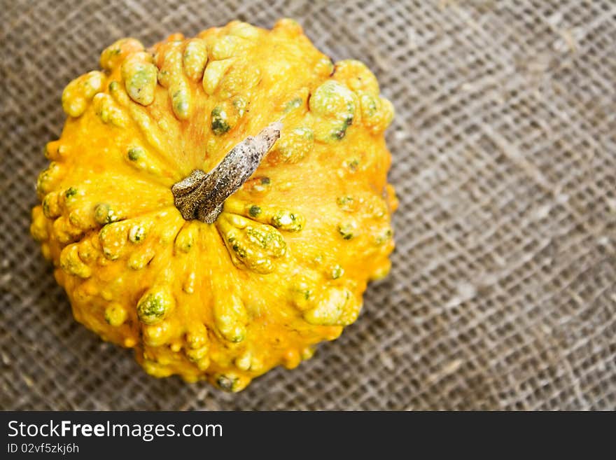 Decorative pumpkin on sacking background