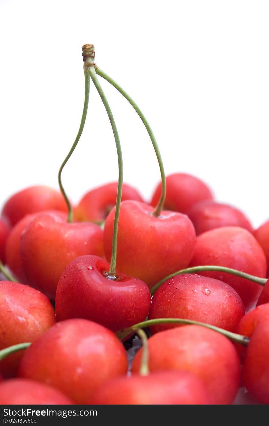 Cherries On White Background