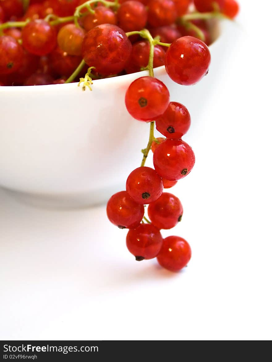 Fresh red currant on white bowl over white