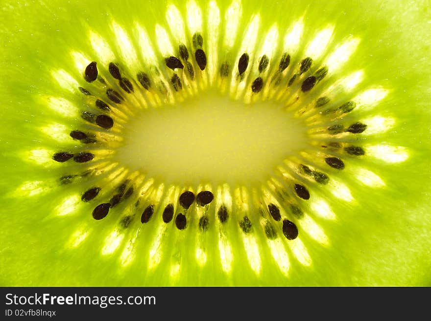 Macro view of a kiwi fruit.