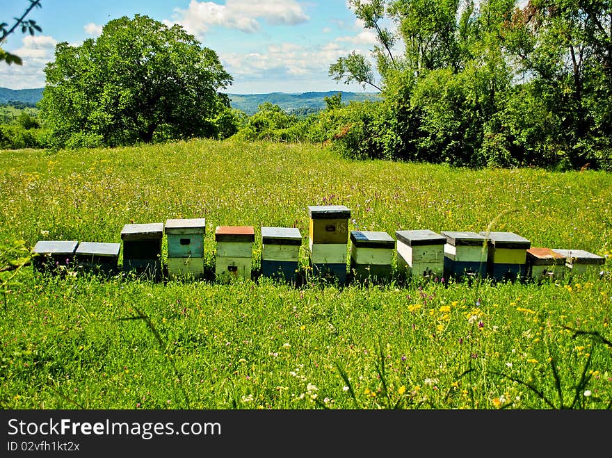 Beehives in the fields