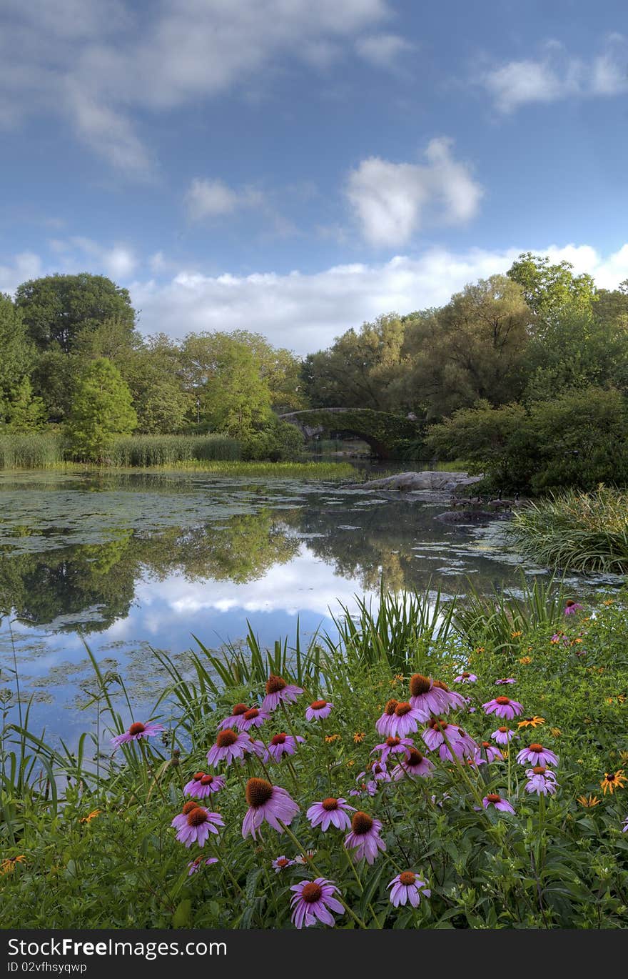 Summer in Central Park by the pond with flowers at the Gapstow bridge