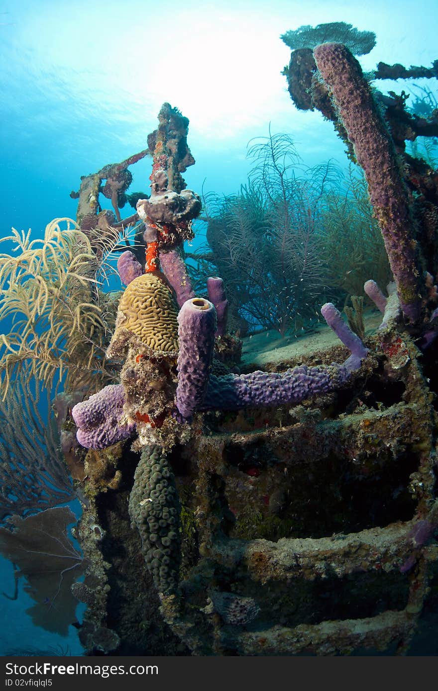 Underwater wreck of the ship Price Albert off the Coast of Roatan. Underwater wreck of the ship Price Albert off the Coast of Roatan