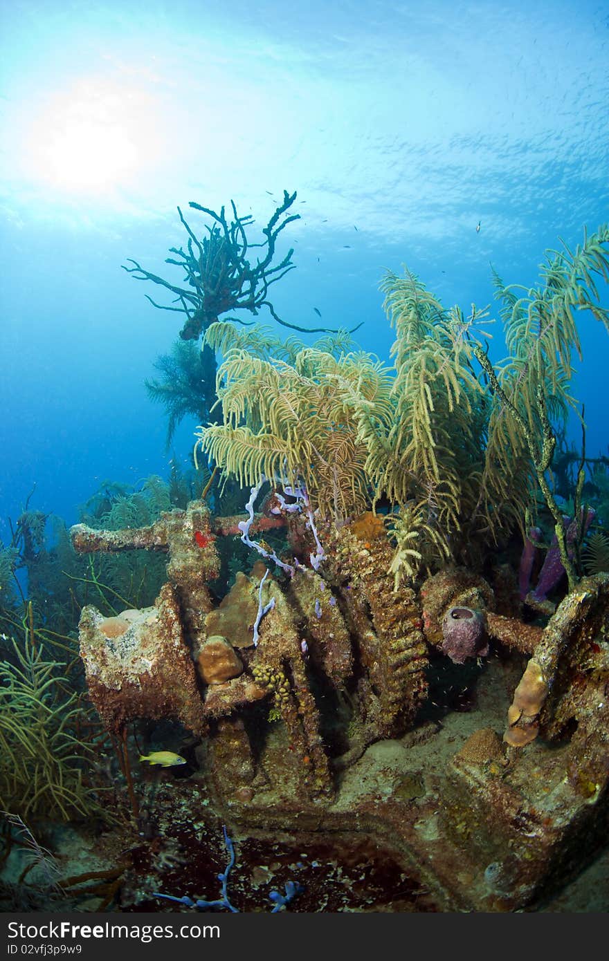 Underwater wreck of the ship Price Albert off the Coast of Roatan. Underwater wreck of the ship Price Albert off the Coast of Roatan