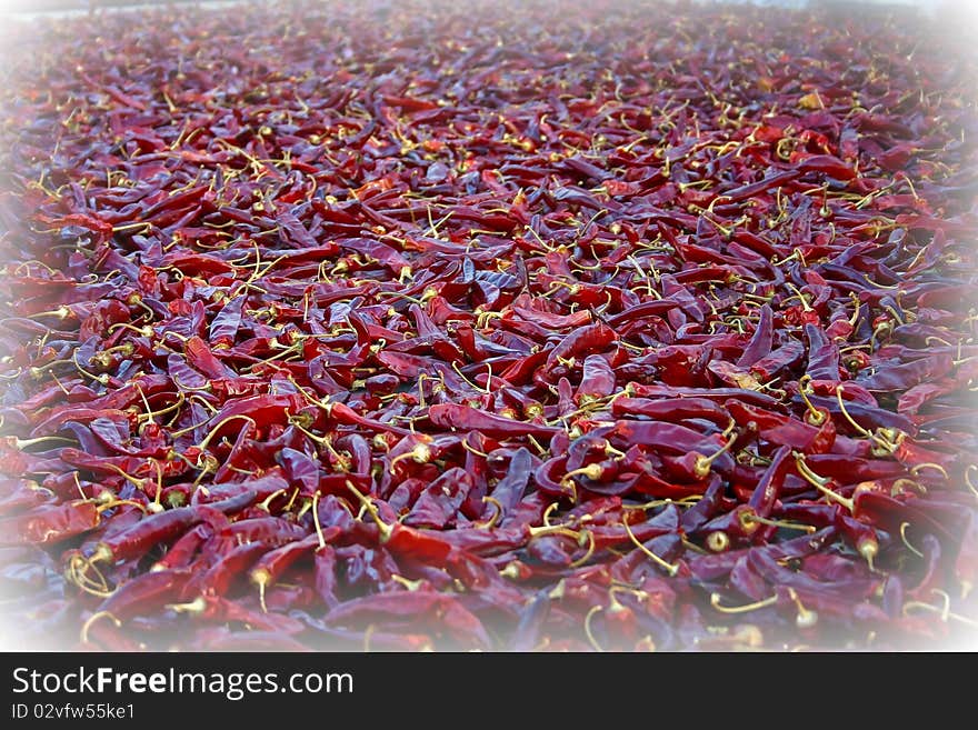 Red peppers being Sun-dried on a hot sunny summers day in the city of Suwon in South Korea. Red peppers being Sun-dried on a hot sunny summers day in the city of Suwon in South Korea